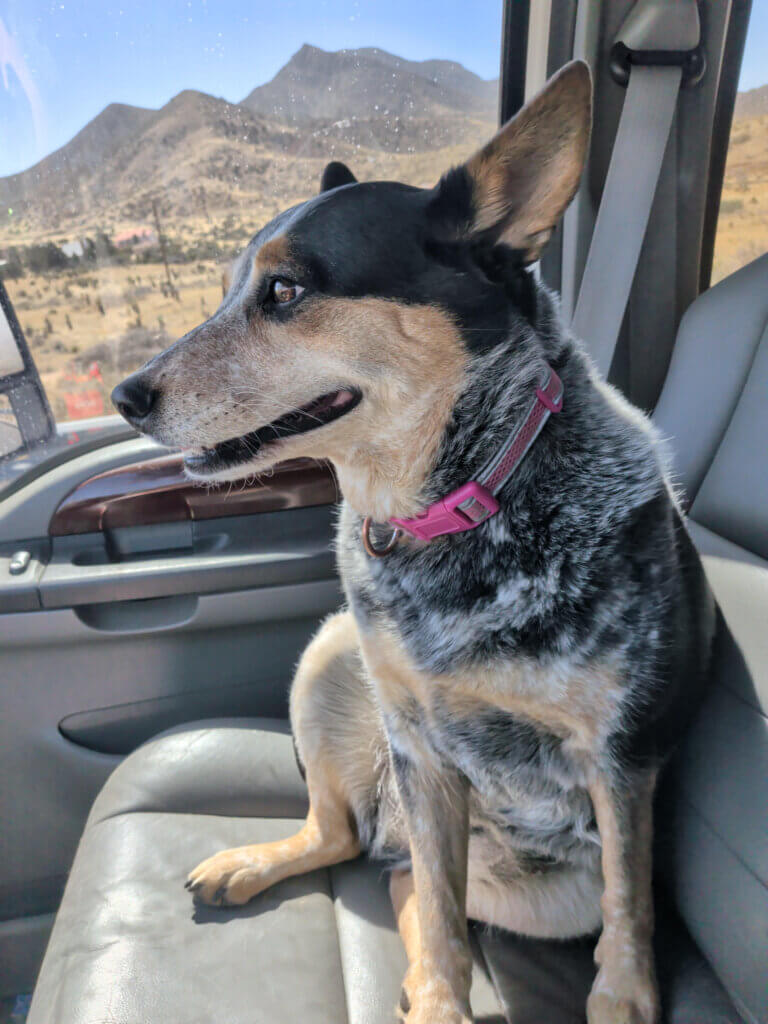 Jon Sorg's Crew Chief and mascot Ryzer